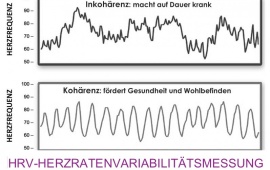 Ihr Herz zeigt, wie es Ihnen wirklich geht &ndash; sichtbar in Ihrer Herzratenvariabilit&auml;t (HRV).