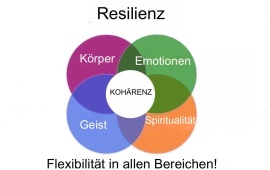 Resilienz. Für mehr Elastizität und Selbstwirksamkeit!