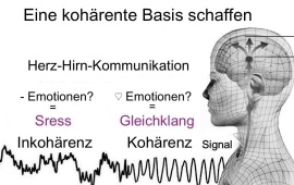 Basis der Resilienz. Kohärenz.