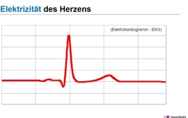 Wissenschaftlich fundiert  Mehr als 30 Jahre Forschung!